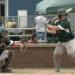 Cotton States League : Tribe VS Rascals